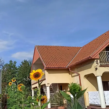 شقة Barackvirag *